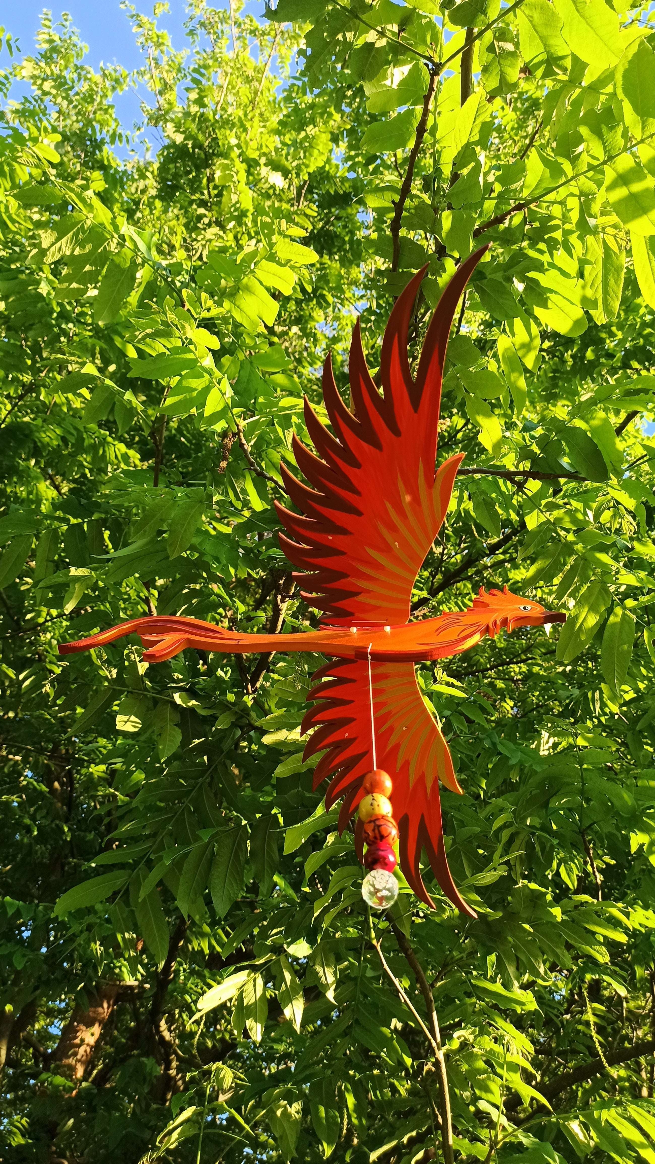 Aves pintadas