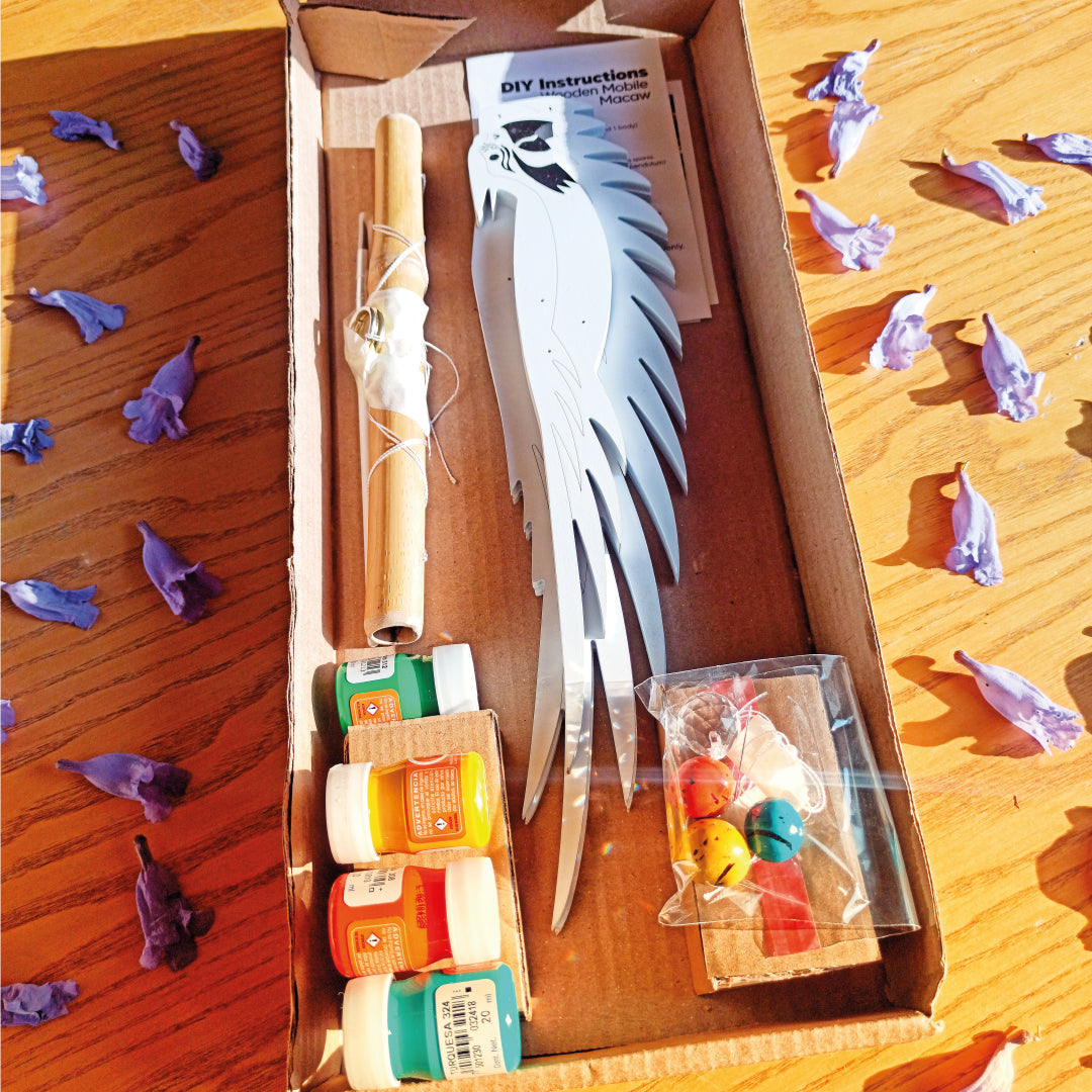 DIY Kits