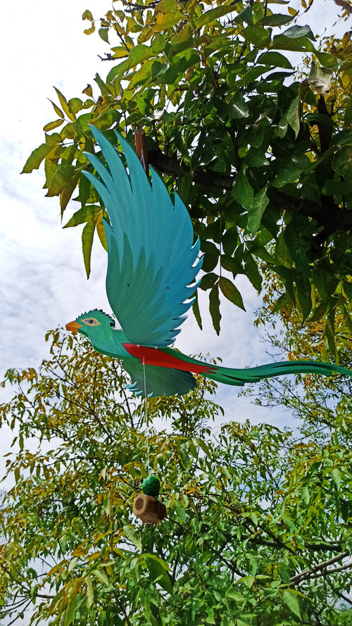 Maravillas del Quetzal