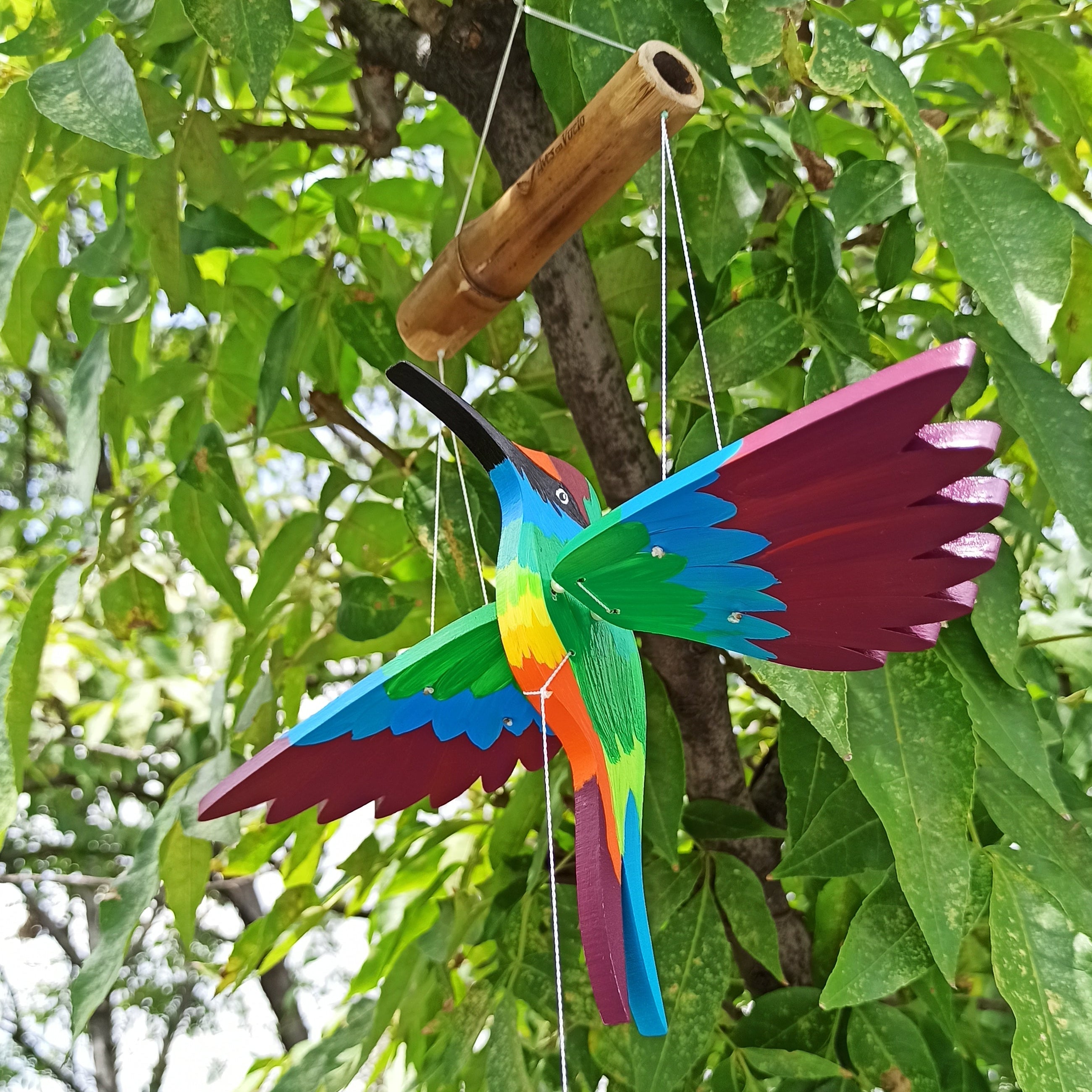 Colibrí divino