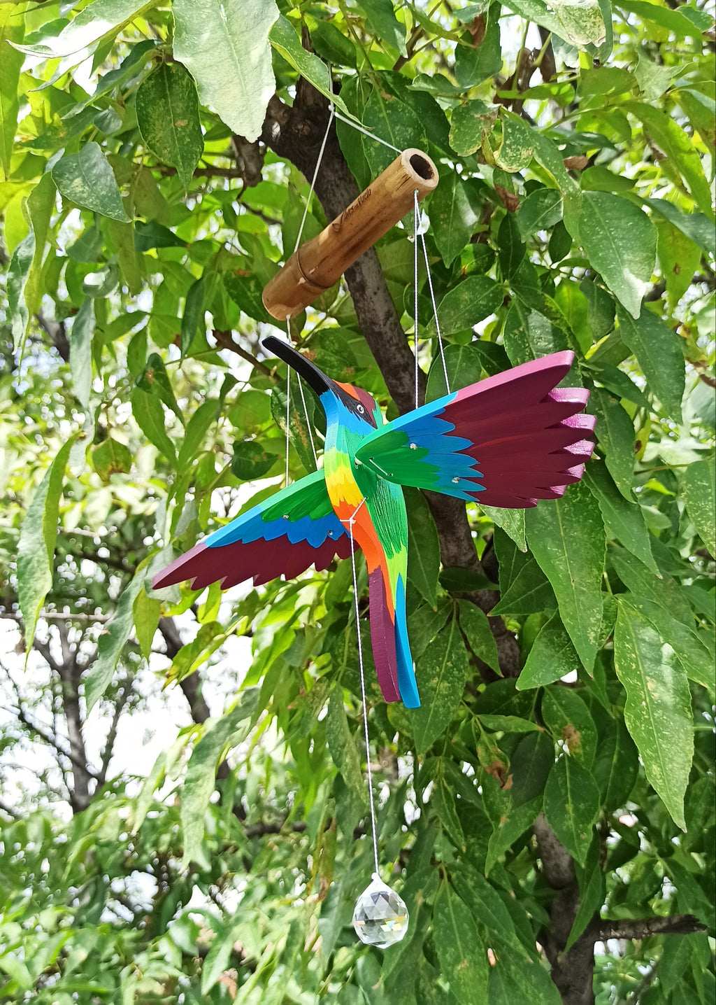 Colibrí divino