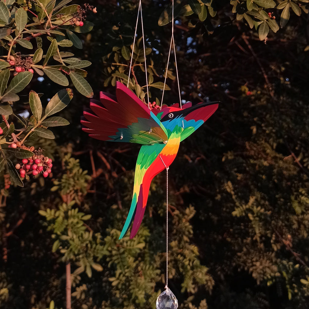 Colibrí divino