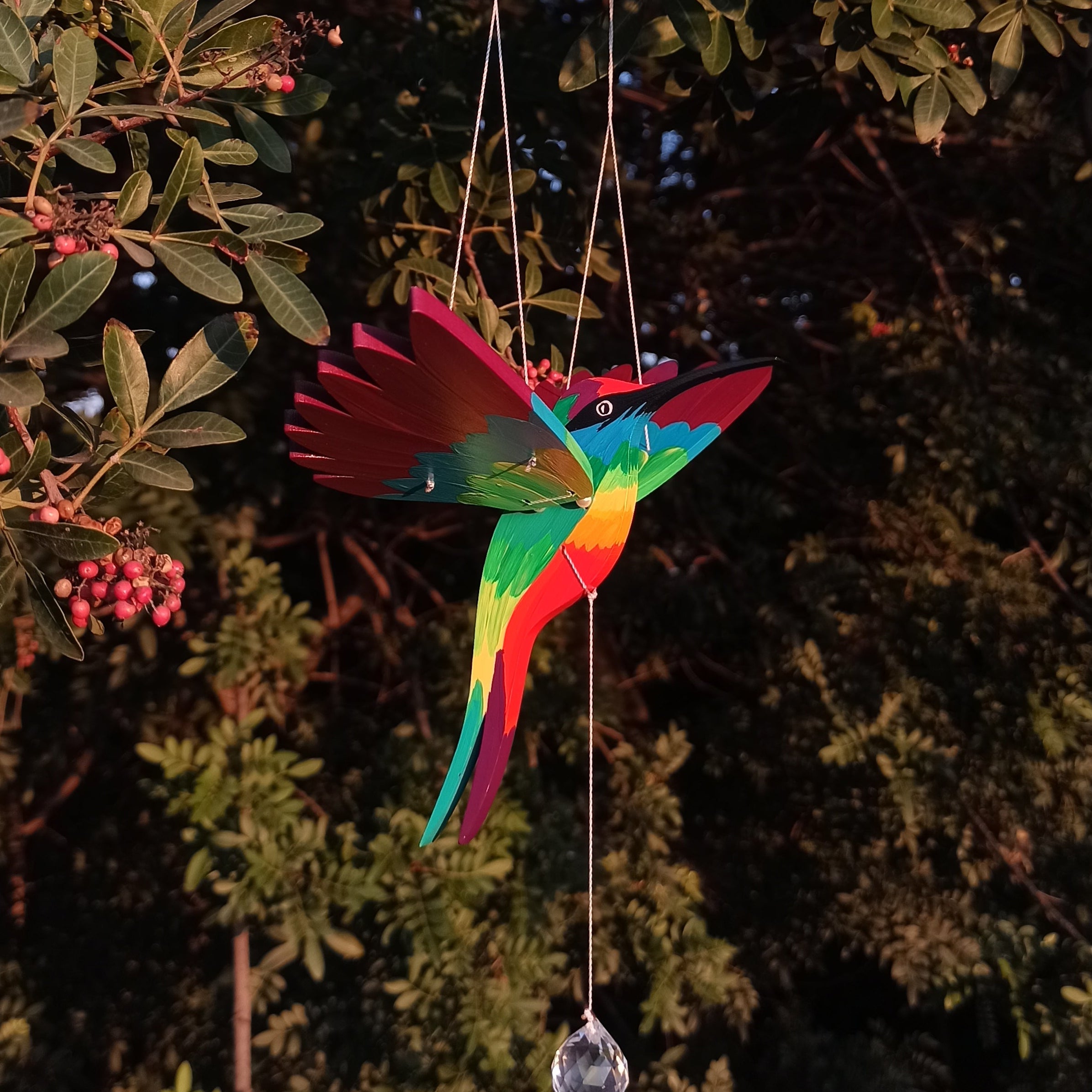 Colibrí divino
