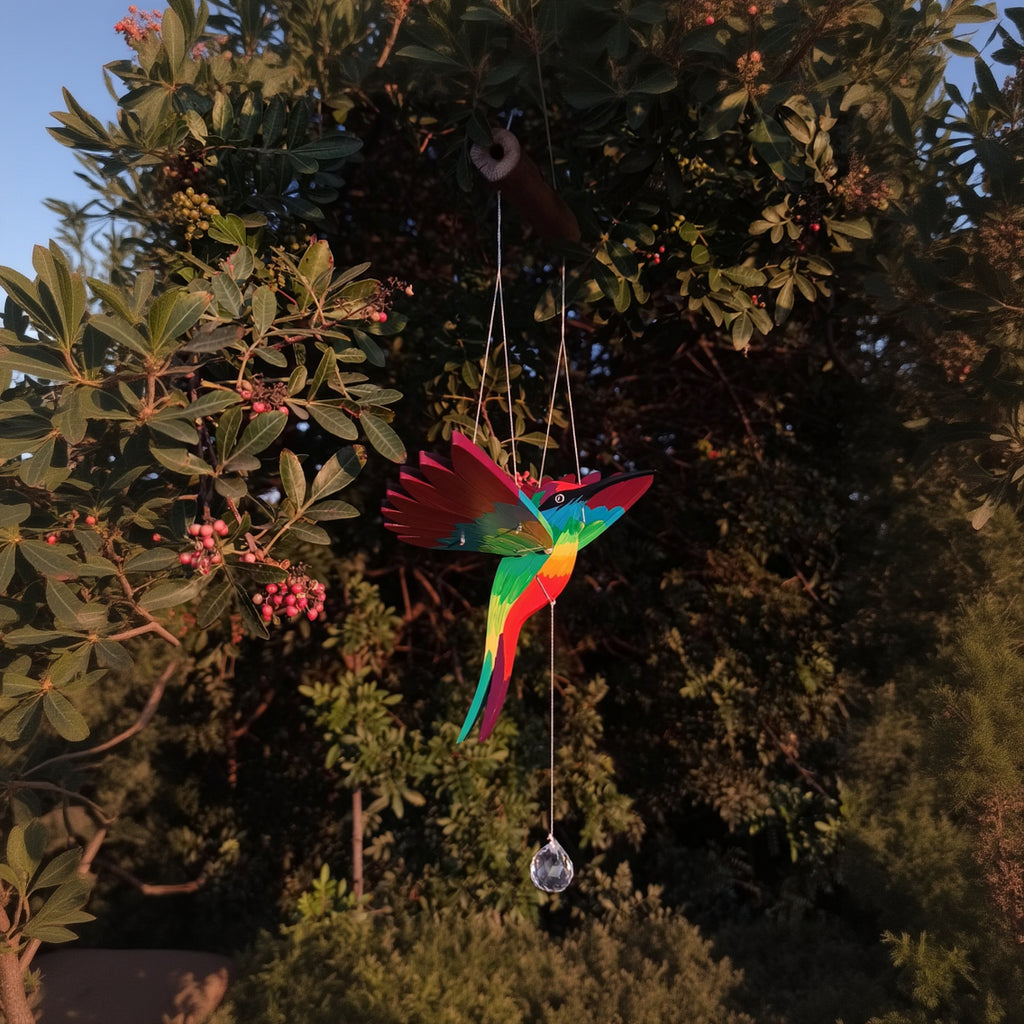 Colibrí divino