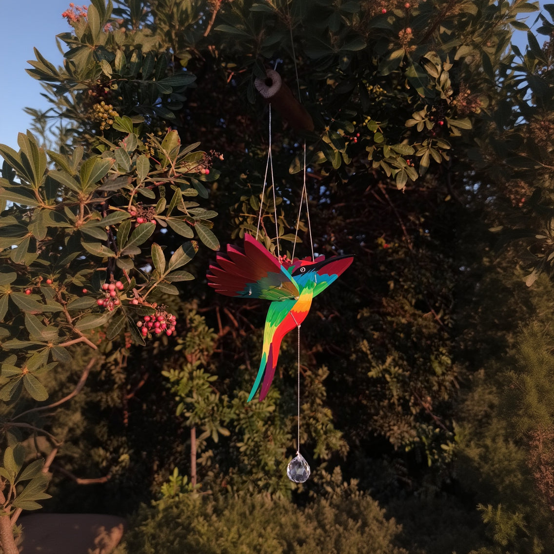 Colibrí divino