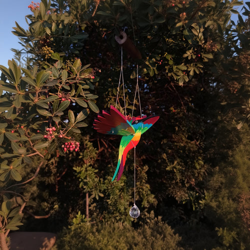 Colibrí divino