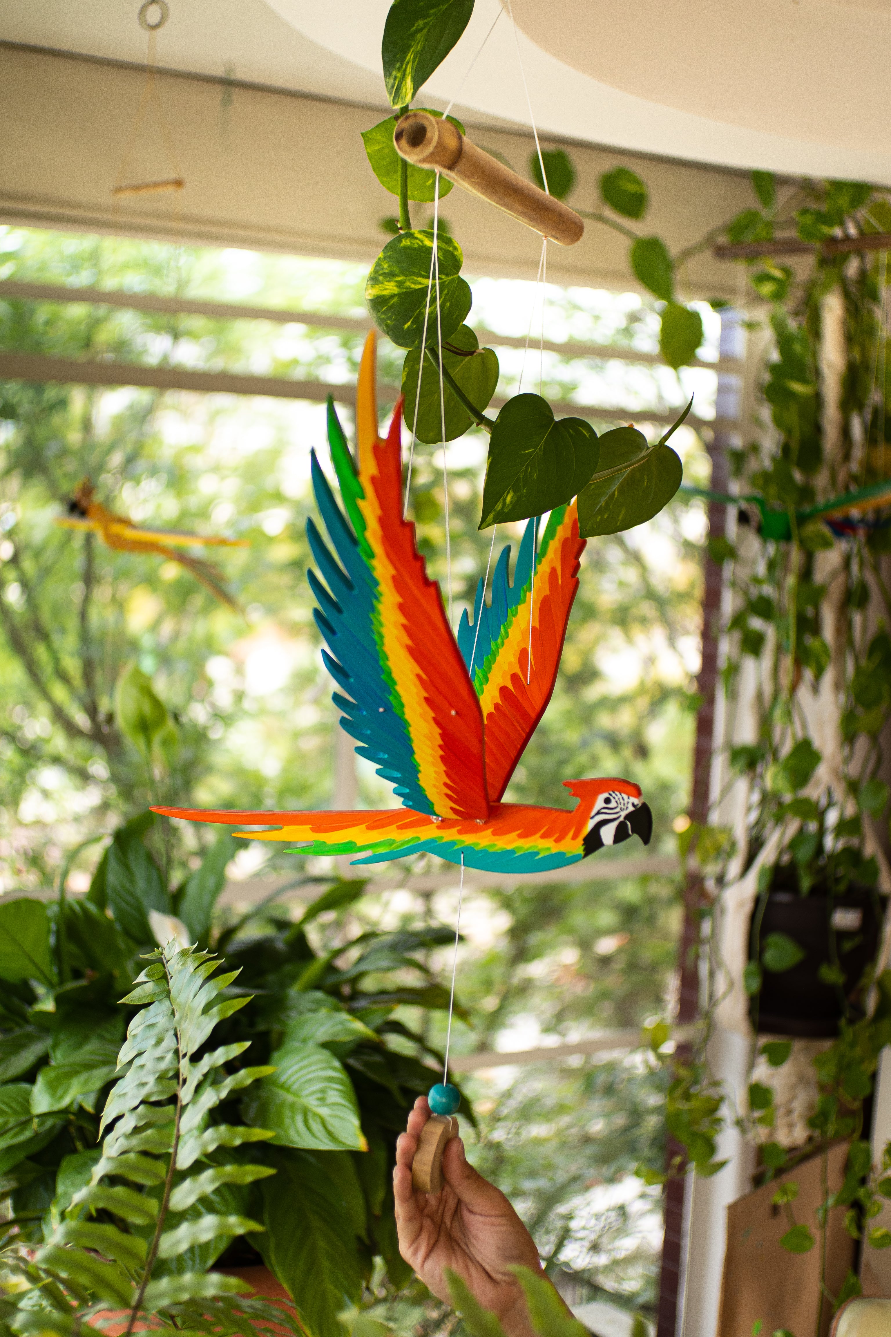 Guacamaya en vuelo
