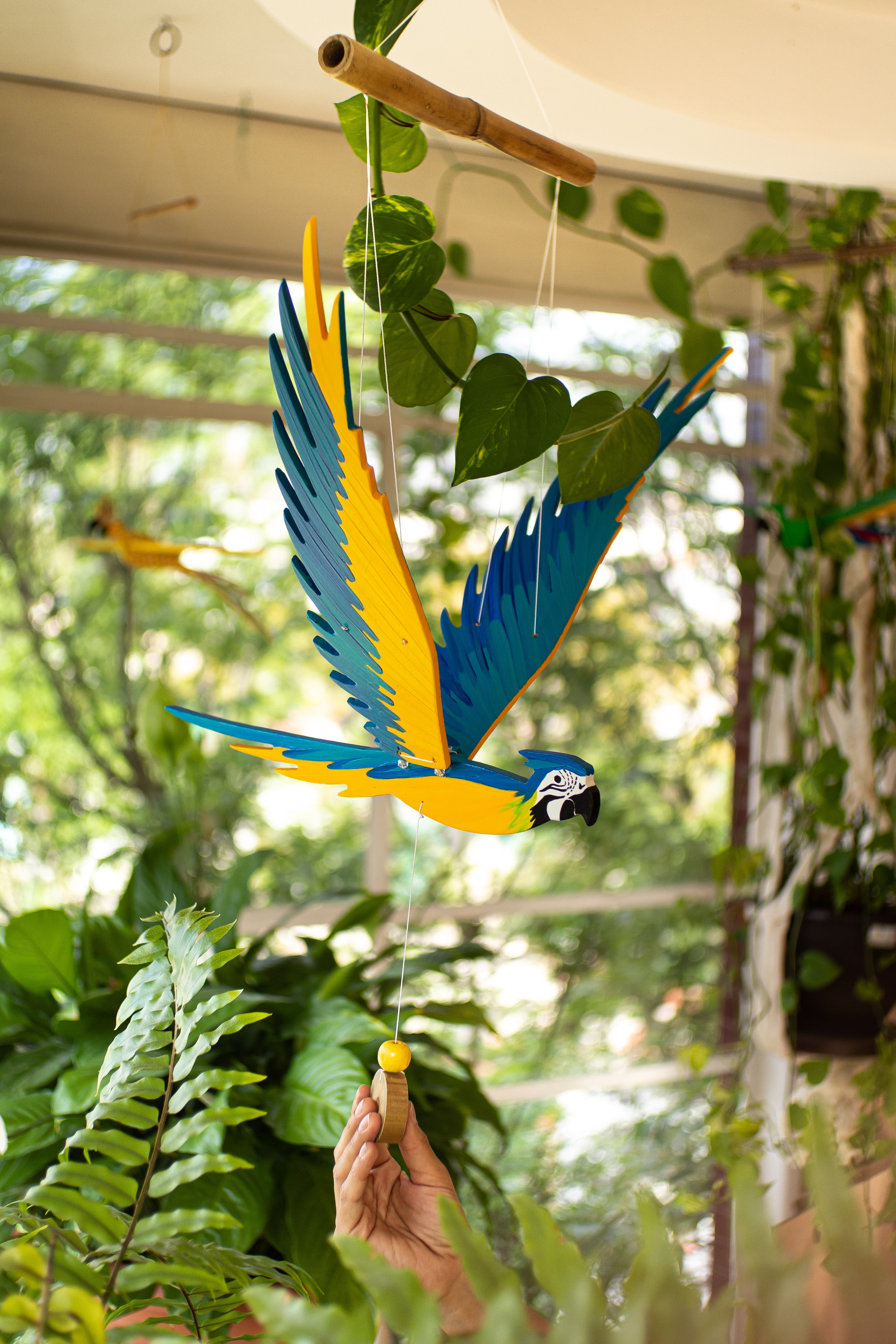 Guacamaya en vuelo