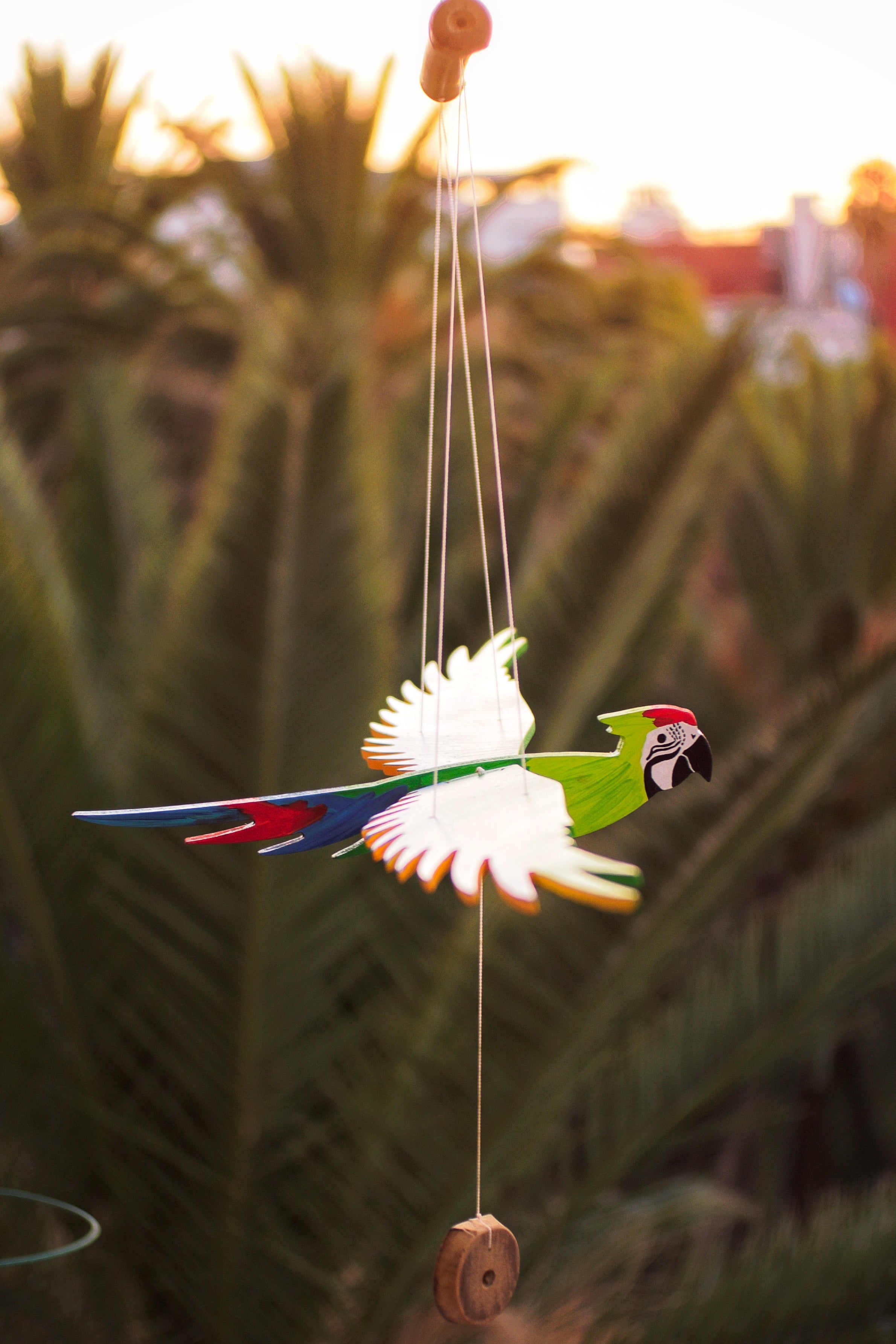 Guacamaya en vuelo