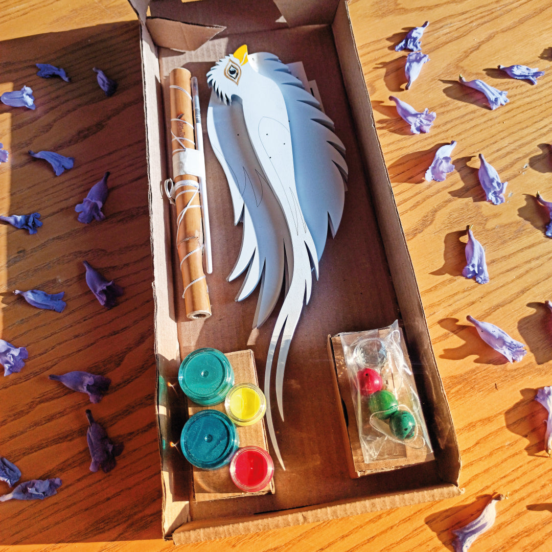 DIY Kits