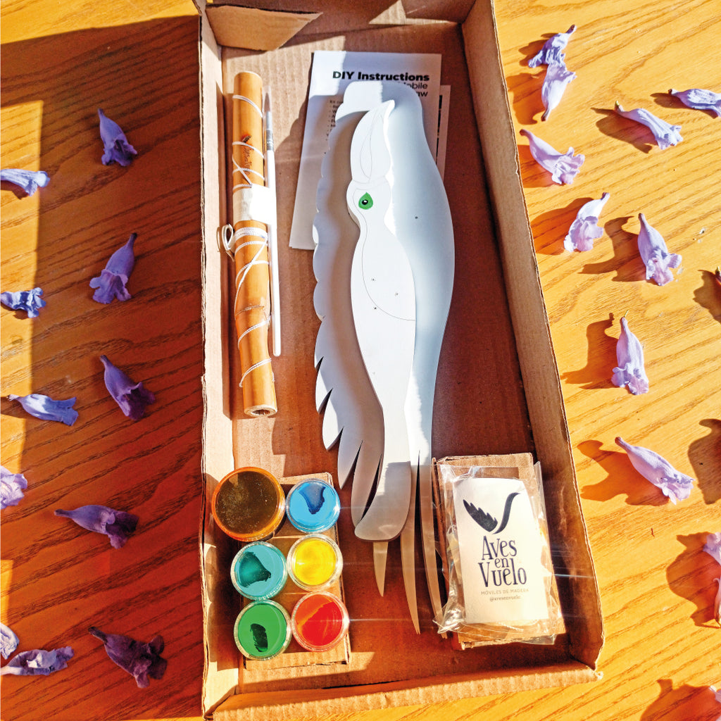 DIY Kits