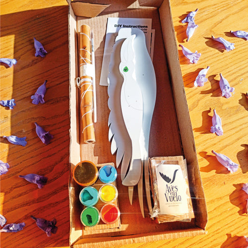 DIY Kits